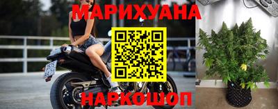 эйфоретик Гай
