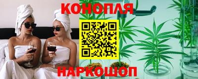 эйфоретик Гай