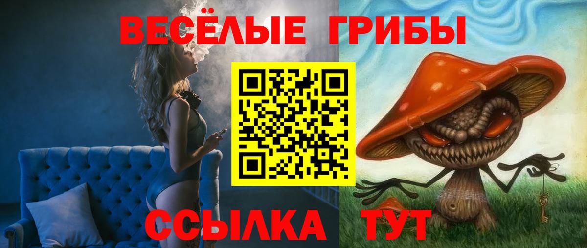 Богданович  Меф МЯУ МЯУ  Каннабис  КОКАИН  ГАШИШ  Гашиш  Меф МЯУ МЯУ   Вход с VPN  Бошки Шишки  Кокаин 